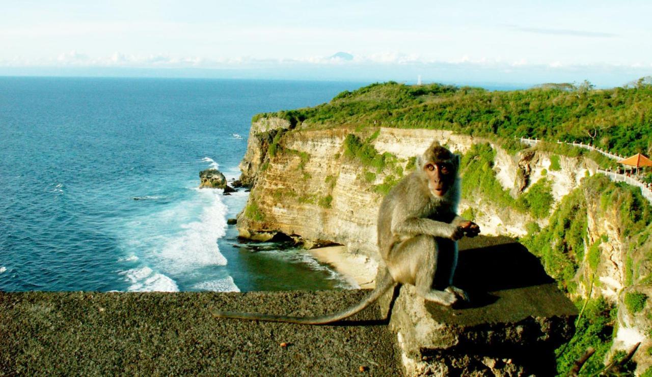 Hakuna Matata Bali Villas อูลูวาตู ภายนอก รูปภาพ